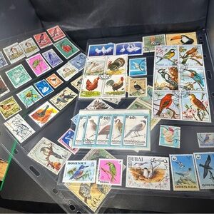 Vintage World Bird Stamps Lot – 60+ Wildlife CTO, Mint, Canceled